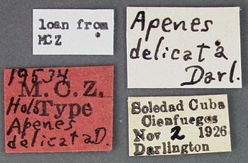 Media type: image;   Entomology 19534 Aspect: labels